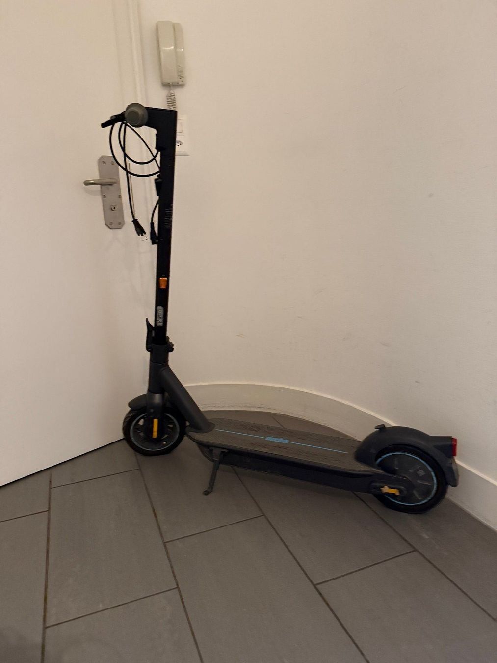 Segway Kickboard: Segway Ninebot KickScooter Max G30D II – Usato da Zürich venduto da Naloo