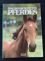 Das grosse Buch des Pferdes, Pferde, Reiten