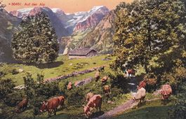Auf der Alp 1912 Vaches