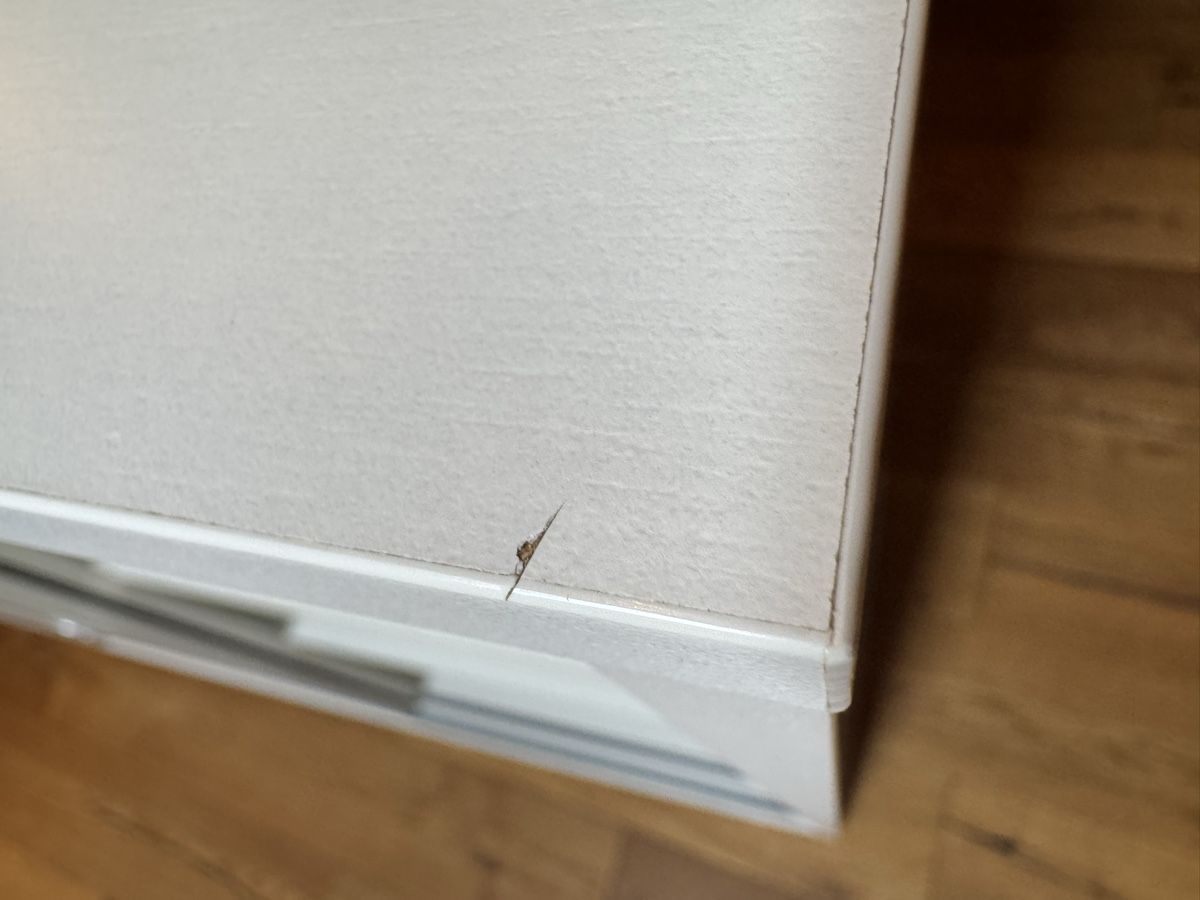 Armoires: Weisser Schrank / Schuhkasten – D'occasion à Nesslau par laurazimtstern 7