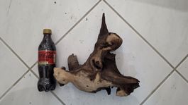 Schöne Wurzel für Aquarium/Terrarium, Top!