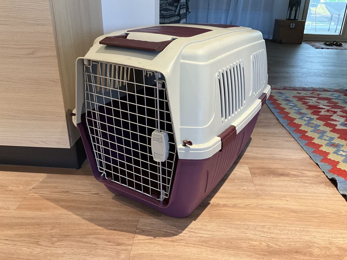 Käfige, Transport & Sicherheit: Hundetransportbox – Gebraucht aus Pfeffingen von Gwendolf