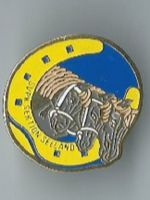 SVPK Sektion Seeland, Pferde, Pin