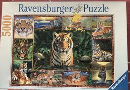 Ravensburger Puzzle Tiger 5000 Teile Motiv Tiger