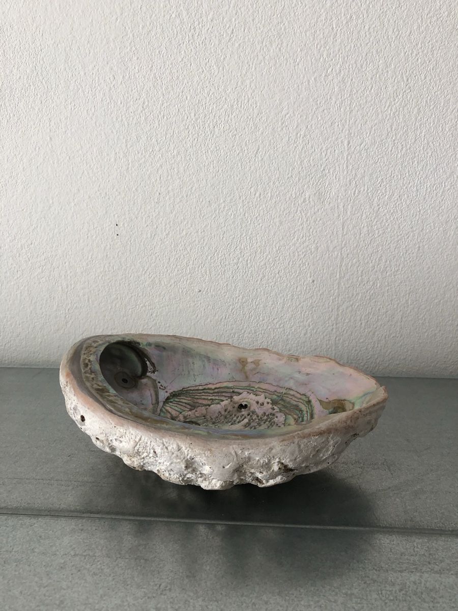 Minerali & Pietre curative: Schöne große Abalone-Muschel – Usato da Basel venduto da Amechan. 4