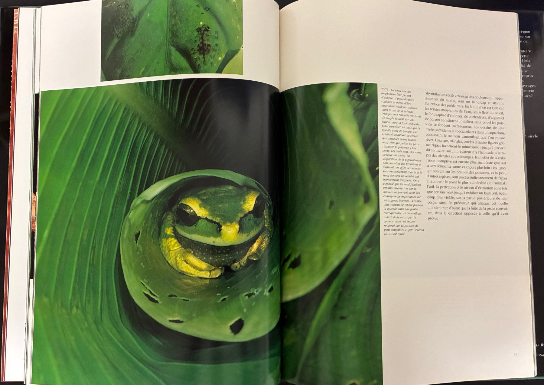 Libri: Les couleurs de la vie – Usato da Moutier venduto da lebadin 3