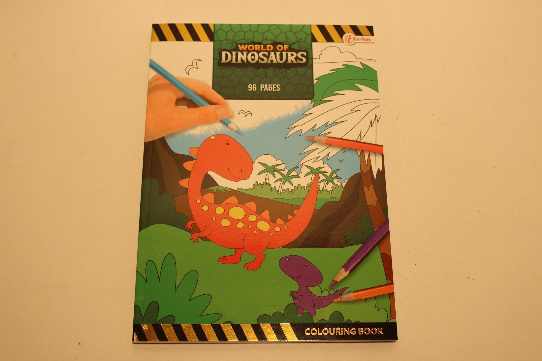 Libri: Malbuch Dinosaurier mit 96 Seiten – Nuovo e nell'imballaggio originale da Fehraltorf venduto da haefens 1