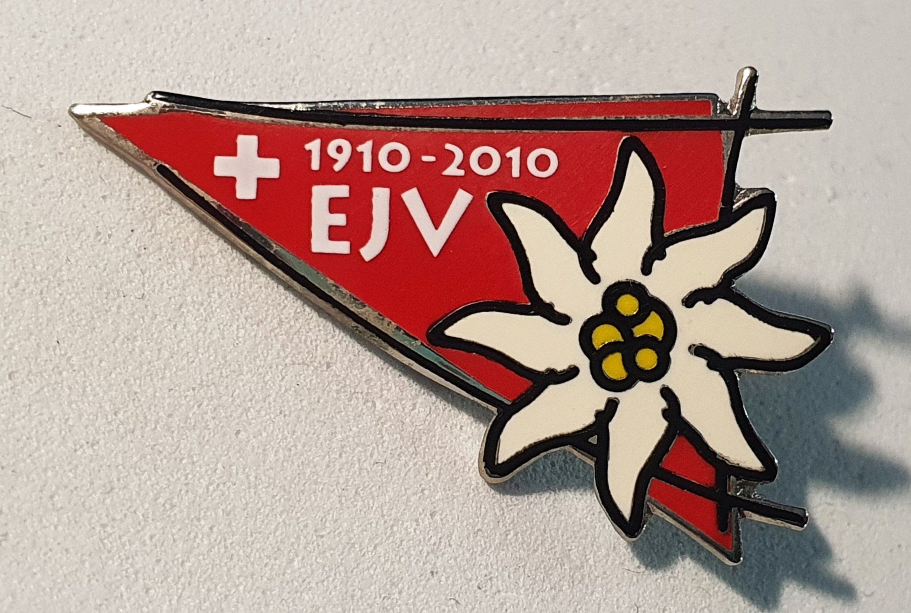 Broches & Aiguilles: AA125  Brosche EJV Eidg. Jodlerverband 1910 - 2010 Edelweiss – D'occasion à Reinach BL par Boston-Verkauf