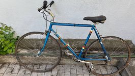 BICICLETTA DA UOMO
