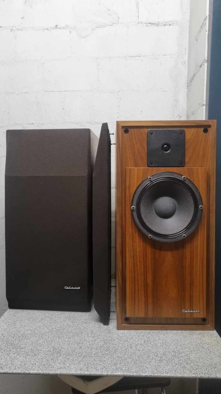 Cabasse Casse acustiche: Cabasse Brick M7 HiFi Lautsprecher Holz – Usato da Oberengstringen venduto da George0070