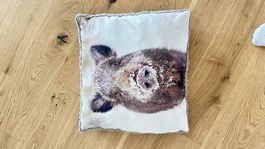 Kissen Wildschwein
