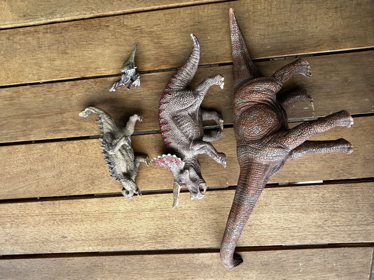 Schleich Giocattoli: Dinosaurier Figuren Set Schleich – Usato da Nussbaumen AG venduto da huanglong 1