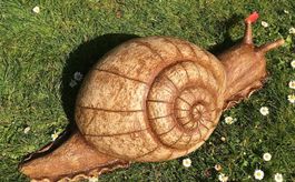 Getöpferte Riesen Schnecke