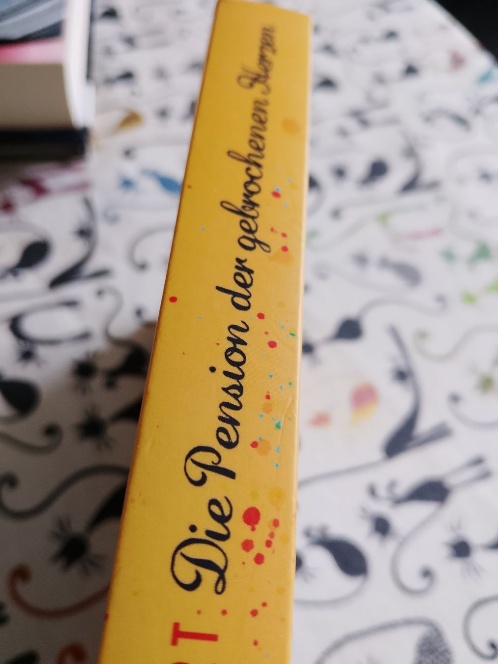Livres: Die Pension der gebrochen Herzen – Neuf (Voir description) à Volken par katz5 2