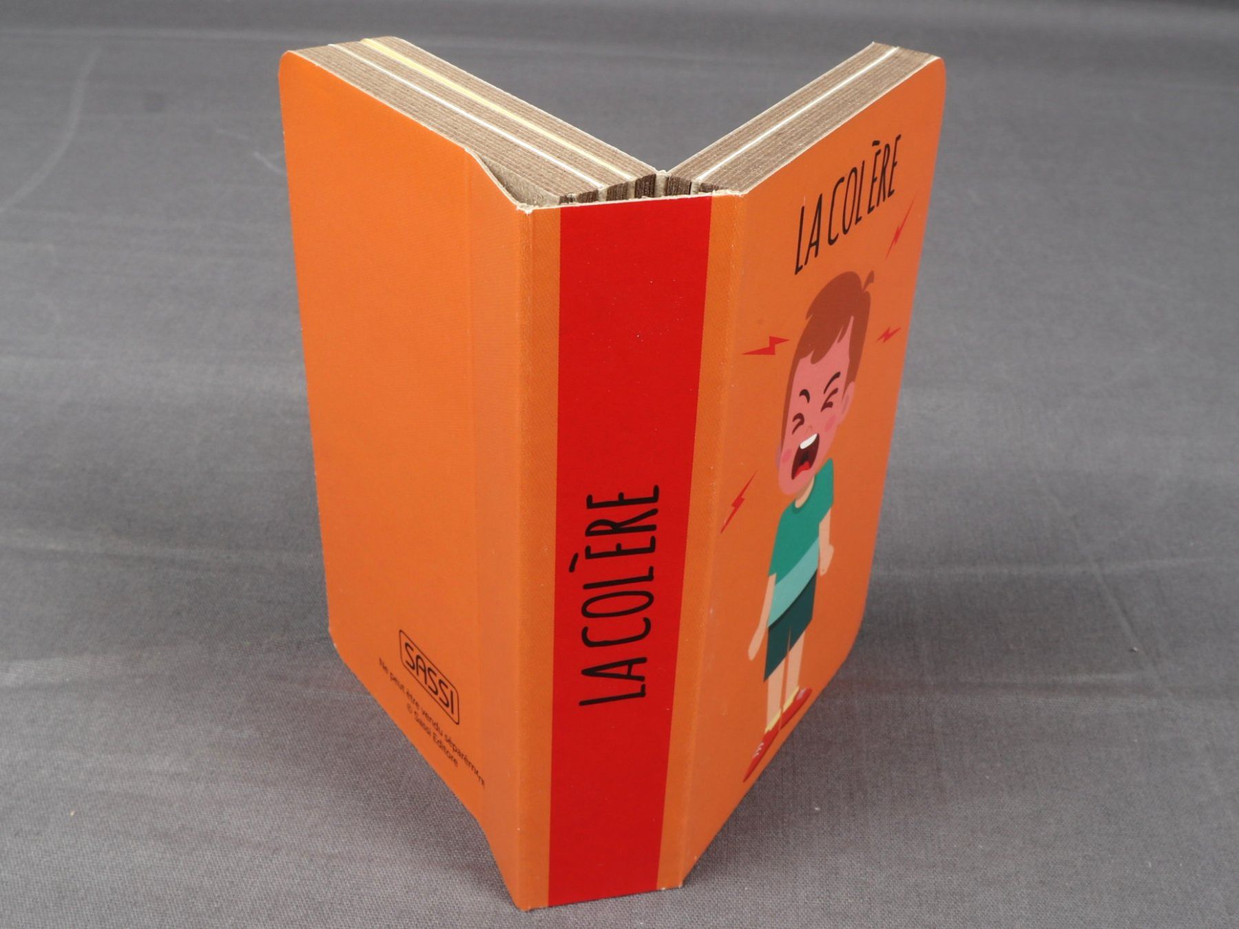 Libri: SASSI Les émotions – Nuovo (secondo la descrizione) da Steinen venduto da Restwert_Steinen 3