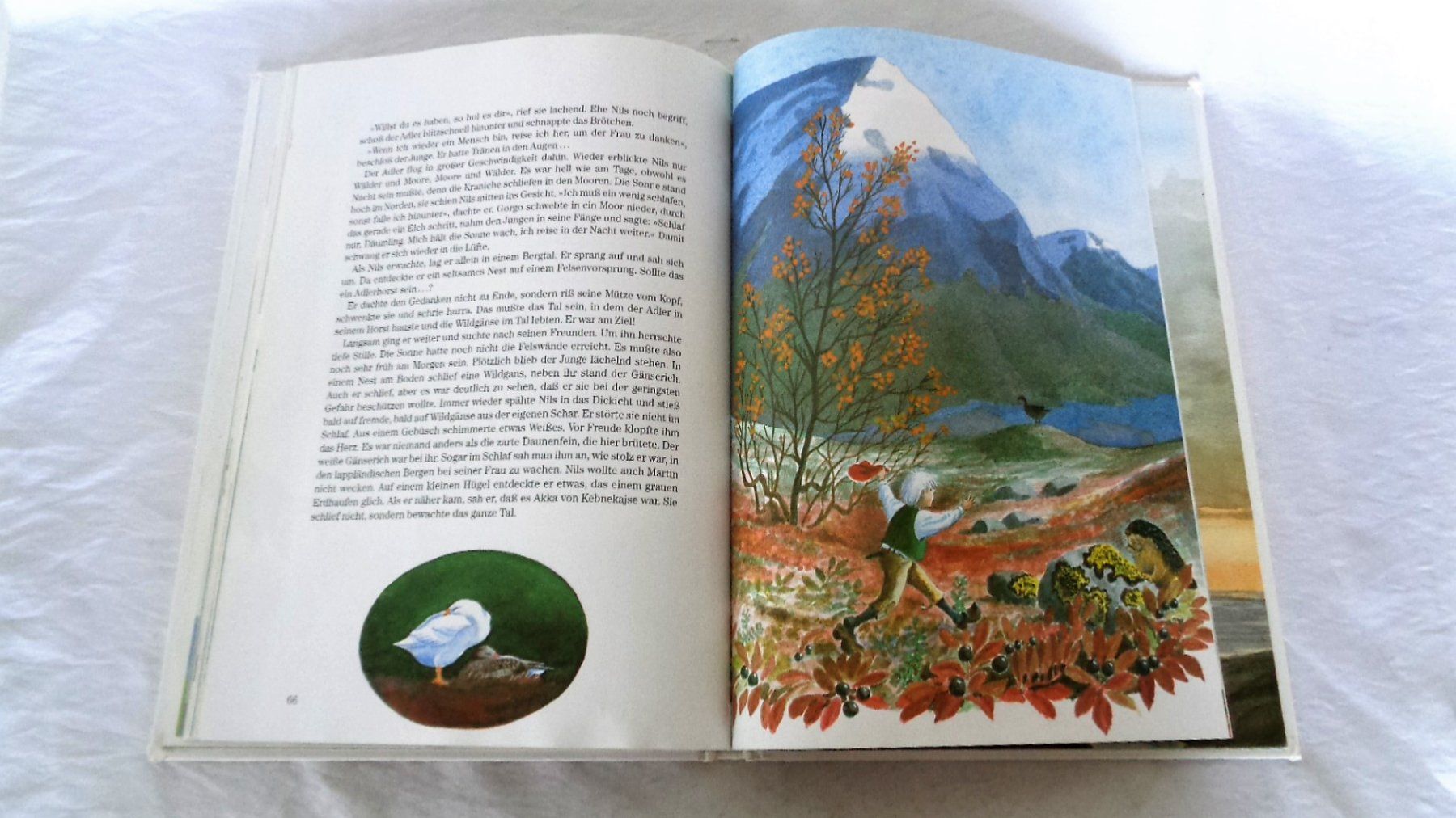 Libri: Nils Holgersson - Wunderbare Reise / Bilderbuch ab Fr. 8.- – Usato da Bellach venduto da JingleJerry 5