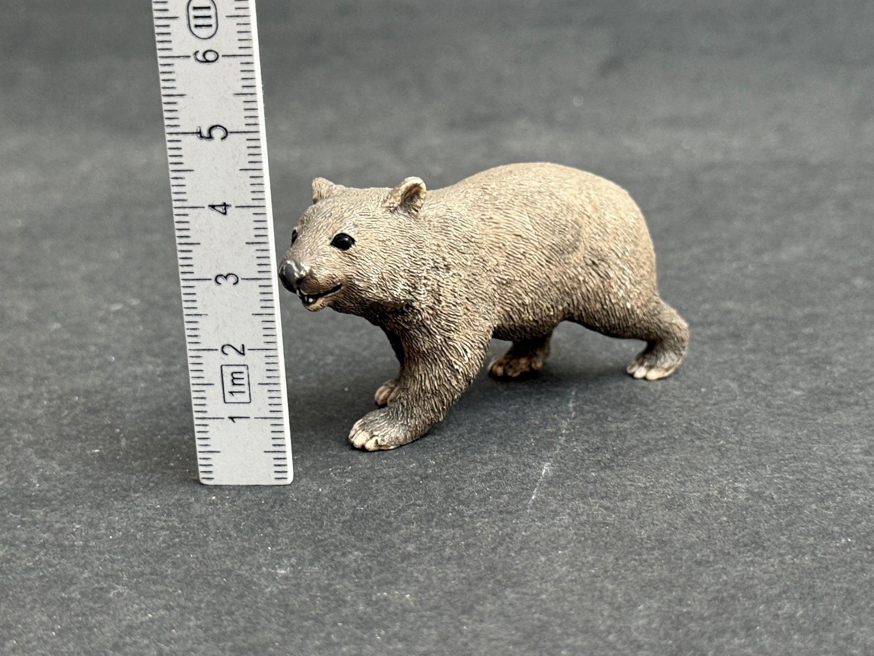 Schleich Statuette: Schleich 14834 Wombat – Usato da Ennetbaden venduto da mapa05 1