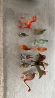 13 Dinosaur Toy Figures Used Condition