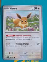Eevee Evoli - Pokemon Surging Sparks