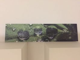 Schönes Bild auf Aluplatte 80x20 cm