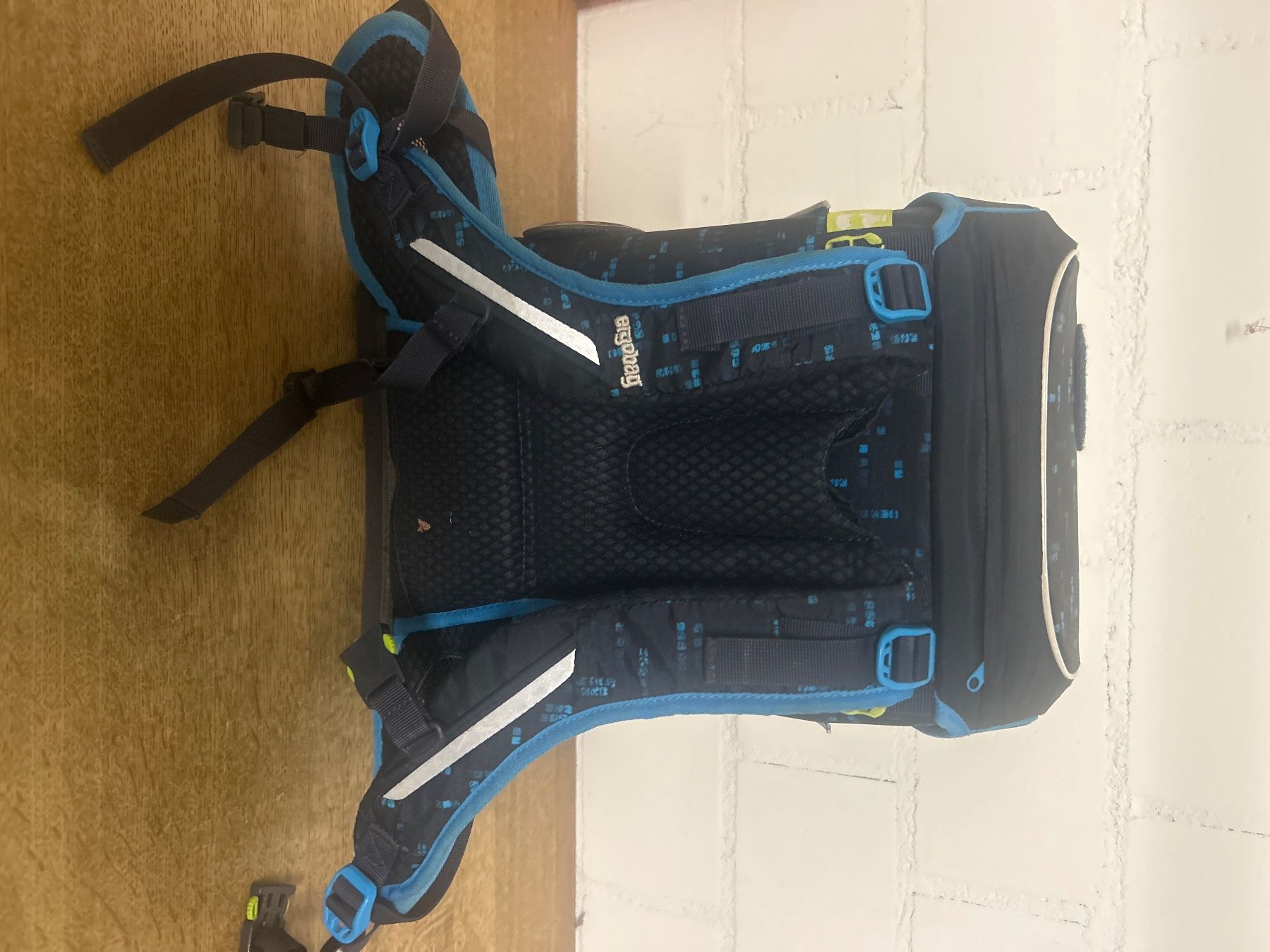 Ergobag Borse & Zaini: Ergobag Schulthek / Rucksack, Top Zustand! – Usato da Muri b. Bern venduto da brinae 2