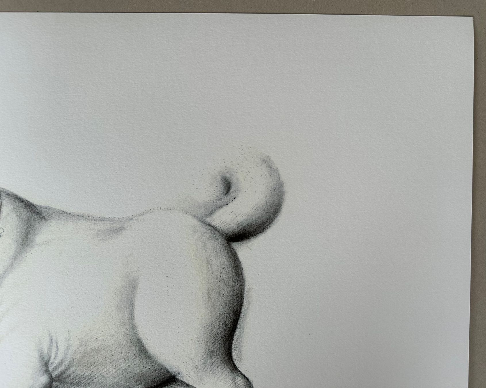 Posters & Illustrations: Fernando Botero: Dog 24/300 – Neuf (Voir description) à Meilen par Smgdesign 4