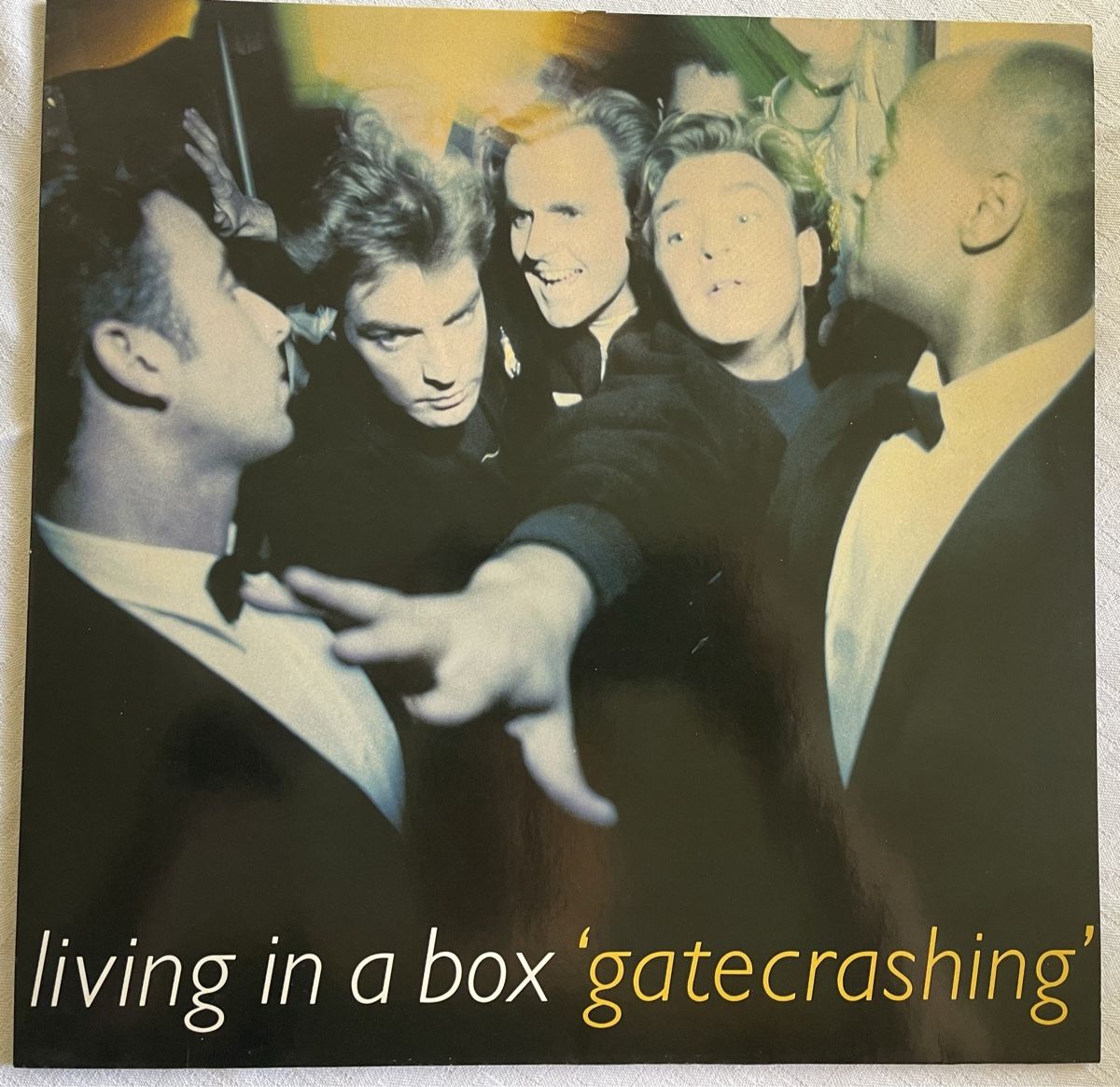 Dischi in vinile: Living in a Box - gatecrashing – Usato da Kehrsatz venduto da bianca69
