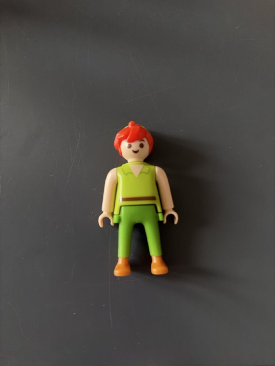 Playmobil Giocattoli: Disney Playmobil Peter Pan – Usato da Urtenen-Schönbühl venduto da LaPriinciipessa