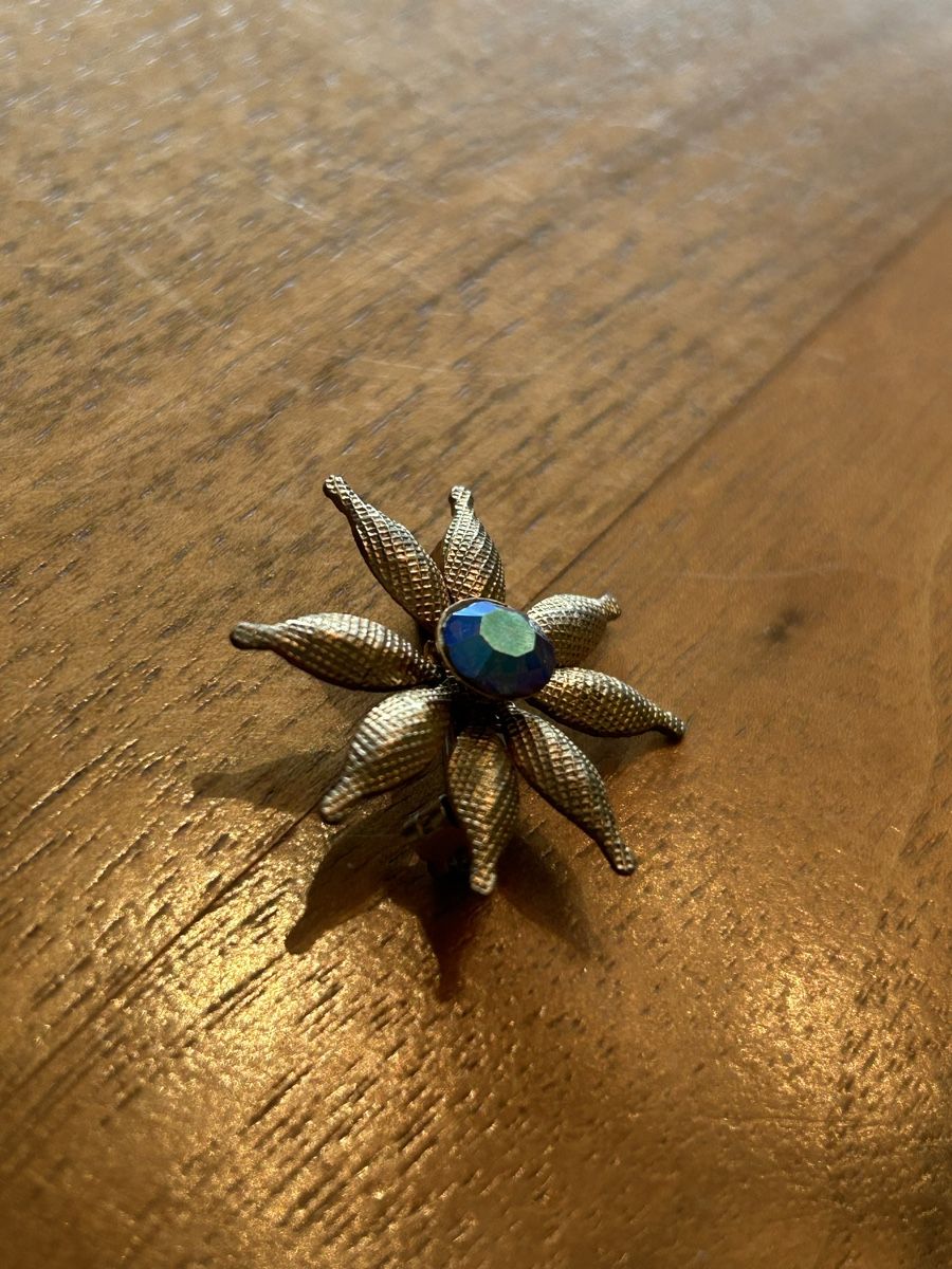 Spille & Fermagli: Sternblume mit Glitzerstein – Usato da Münsingen venduto da Beeruth 1
