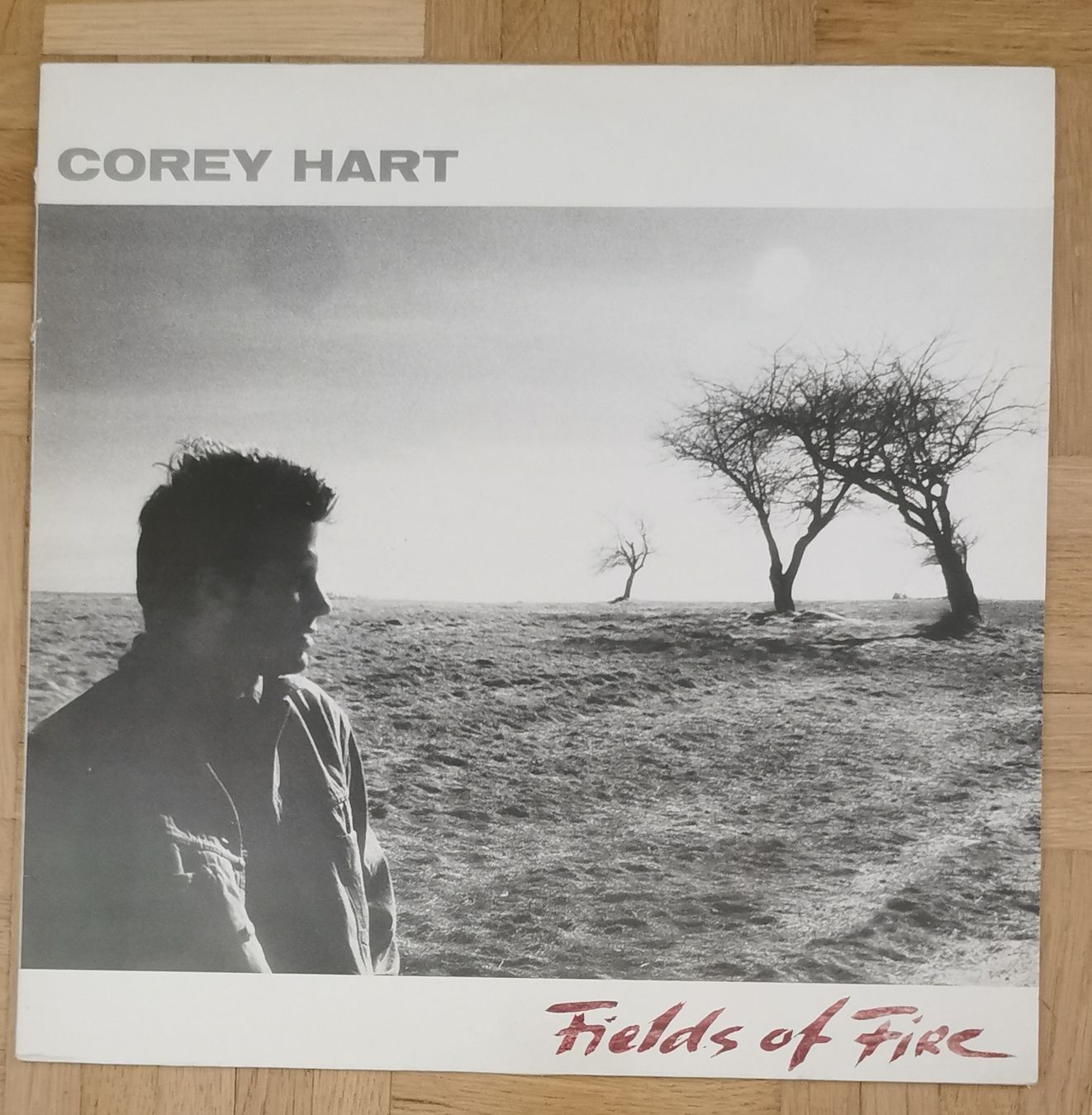 Dischi in vinile: Corey Hart - Fields of Fire - Schallplatte – Usato da Hochfelden venduto da Stburri0