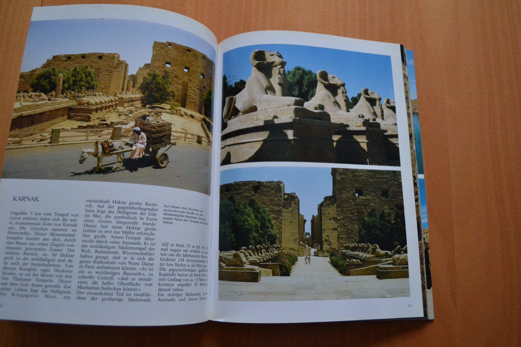 Libri: Ganz Aegypten 126 Seiten – Usato da Beinwil am See venduto da kajak55 4