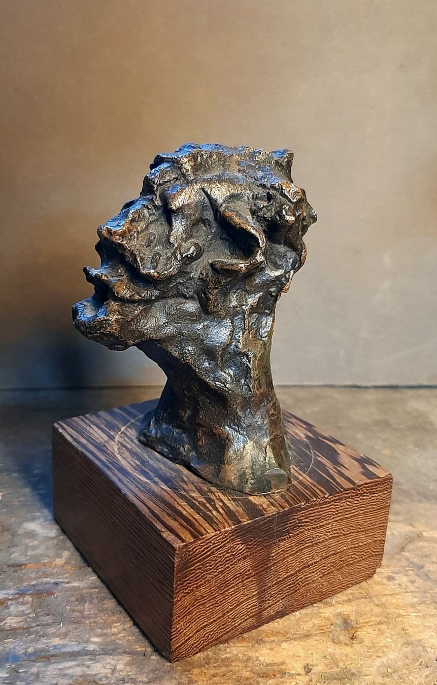 Sculture & Statue: Bronze Skulptur PIRA – Usato da Arbon venduto da torso444 2