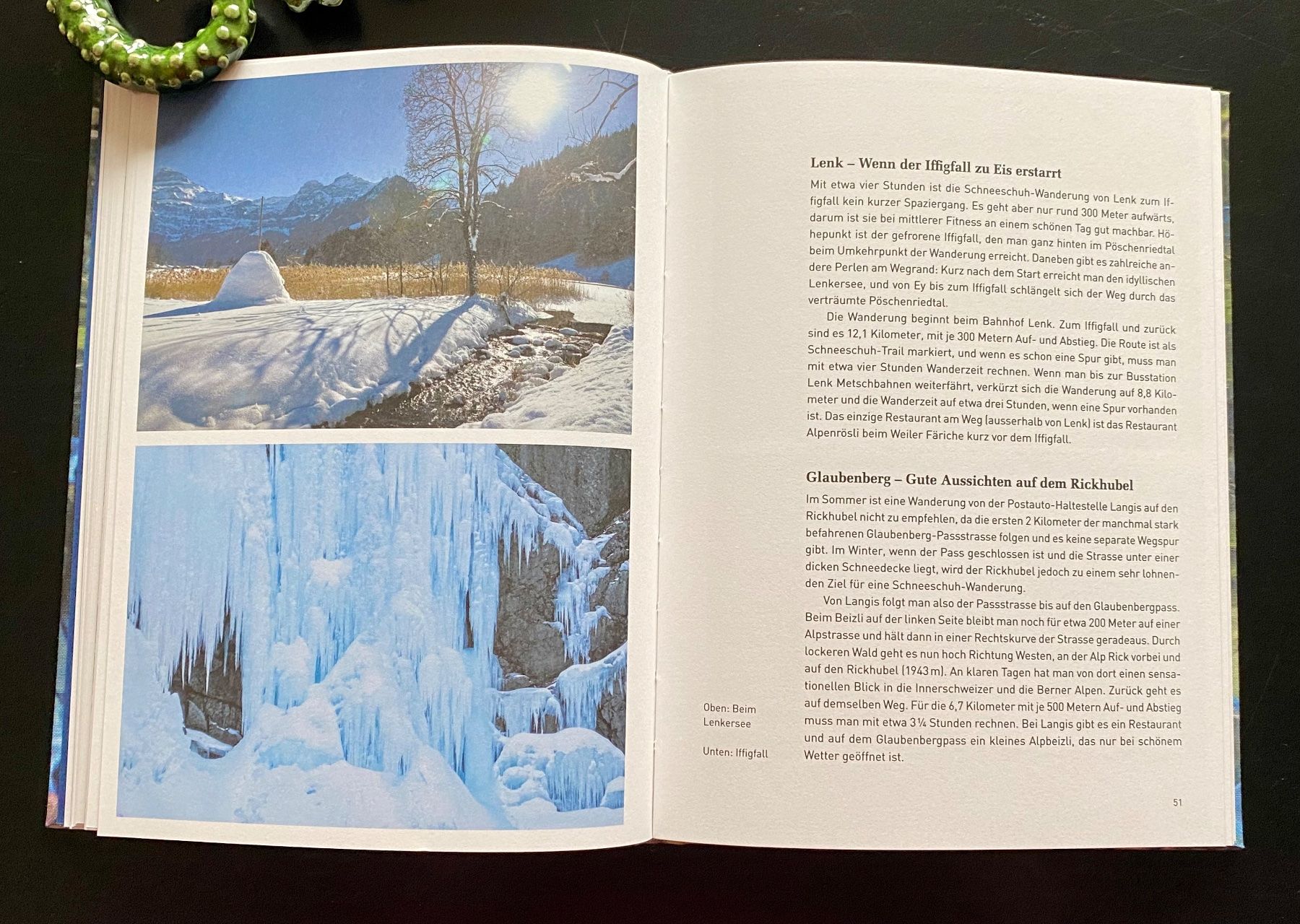 Livres: Wald & Wasser / 2017 – D'occasion à Nussbaumen AG par schuba2000 2