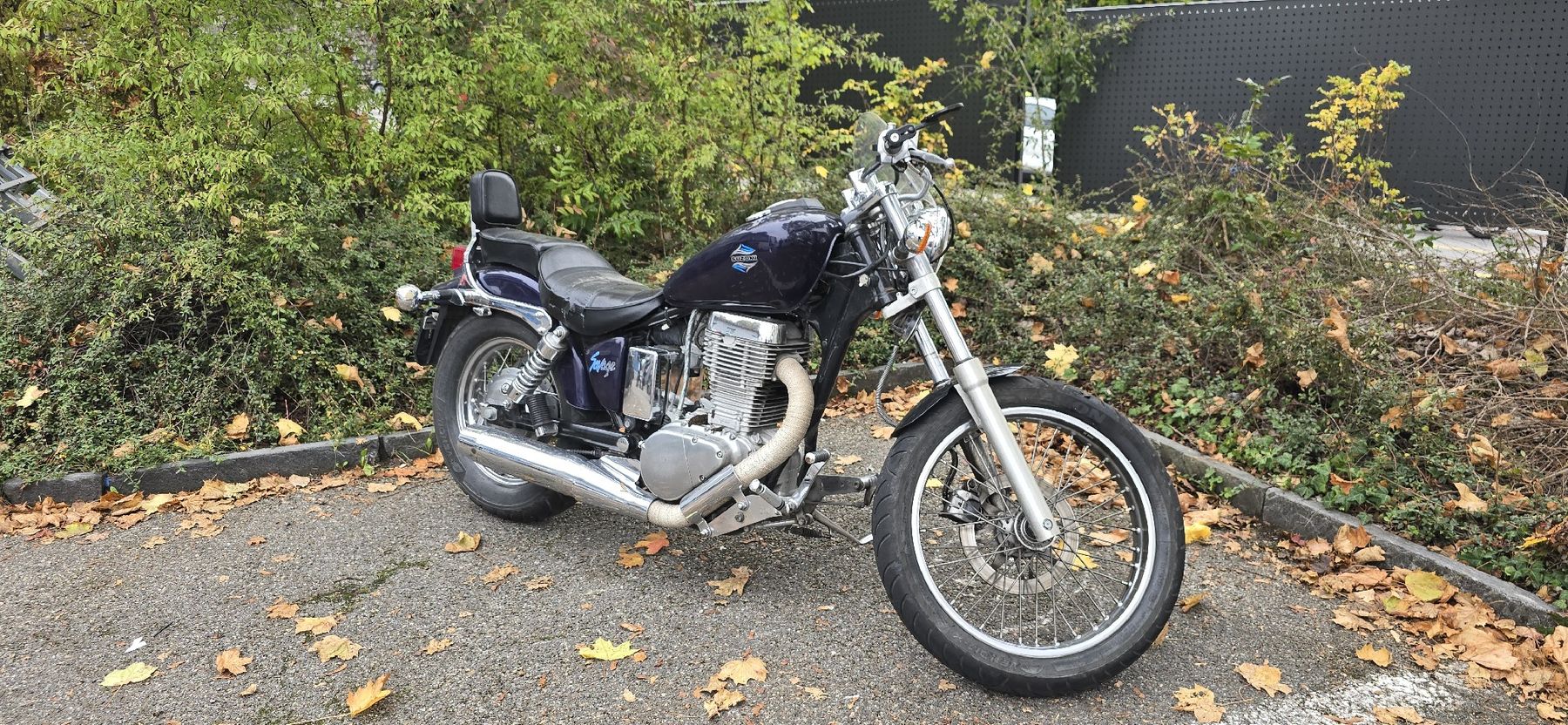 Suzuki Chopper: Suzuki LS650 Savage – Defekt aus Dachsen von Caddy94 5