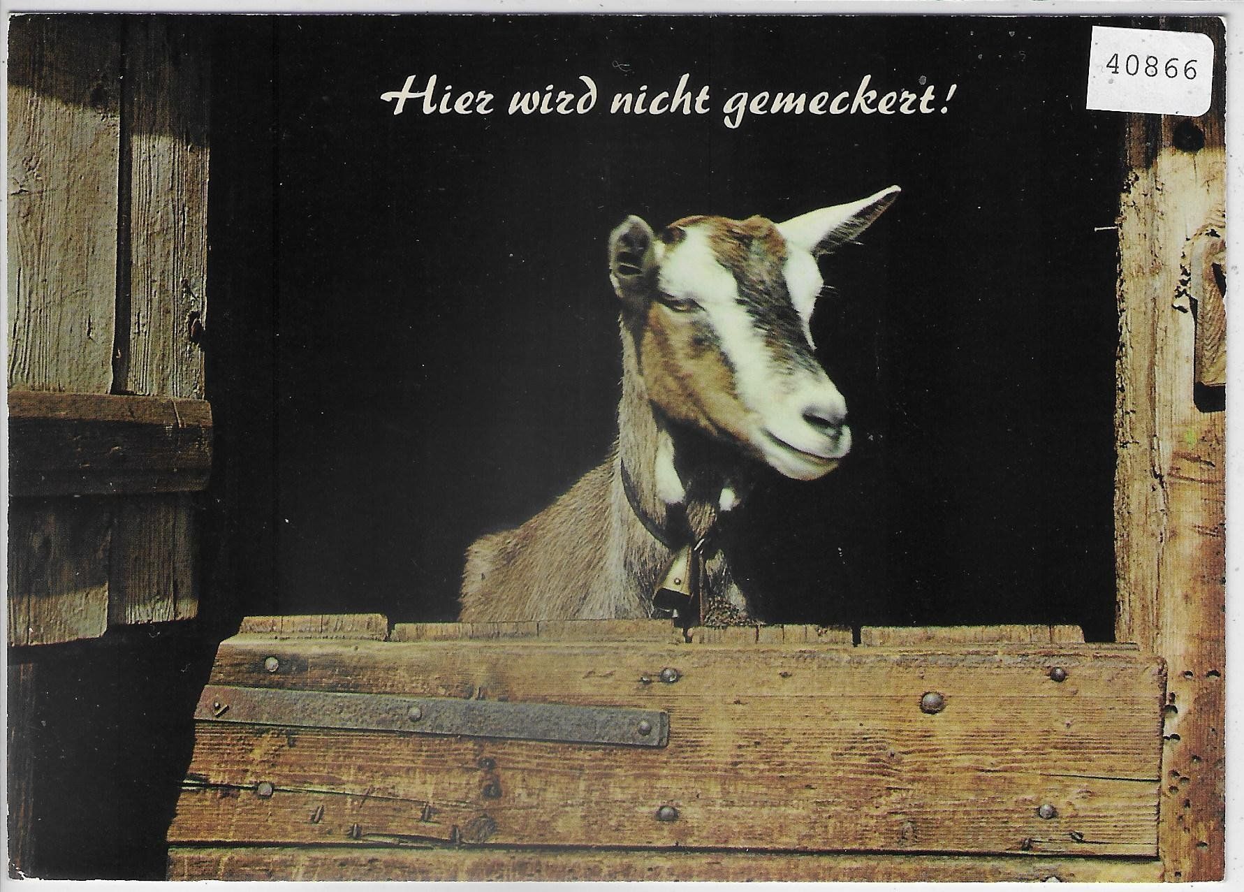 Ansichtskarten: Ziege - Hier wird nicht gemeckert! – Gebraucht aus Ettingen von Kartenplanet