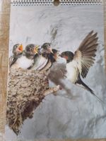 Rarität exklusiver Kalender Alusuisse-lonza Vögel 1993