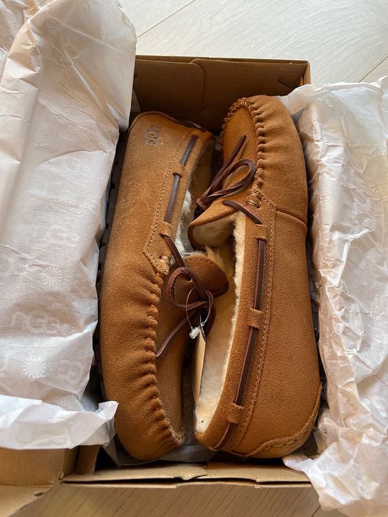 Ugg 2024 dakota 40