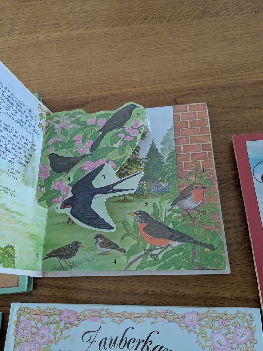 Libri: 9 ältere Kinderbücher-Sammlung: Pop-up und Karussell – Usato da Wohlen AG venduto da merkur0300 3