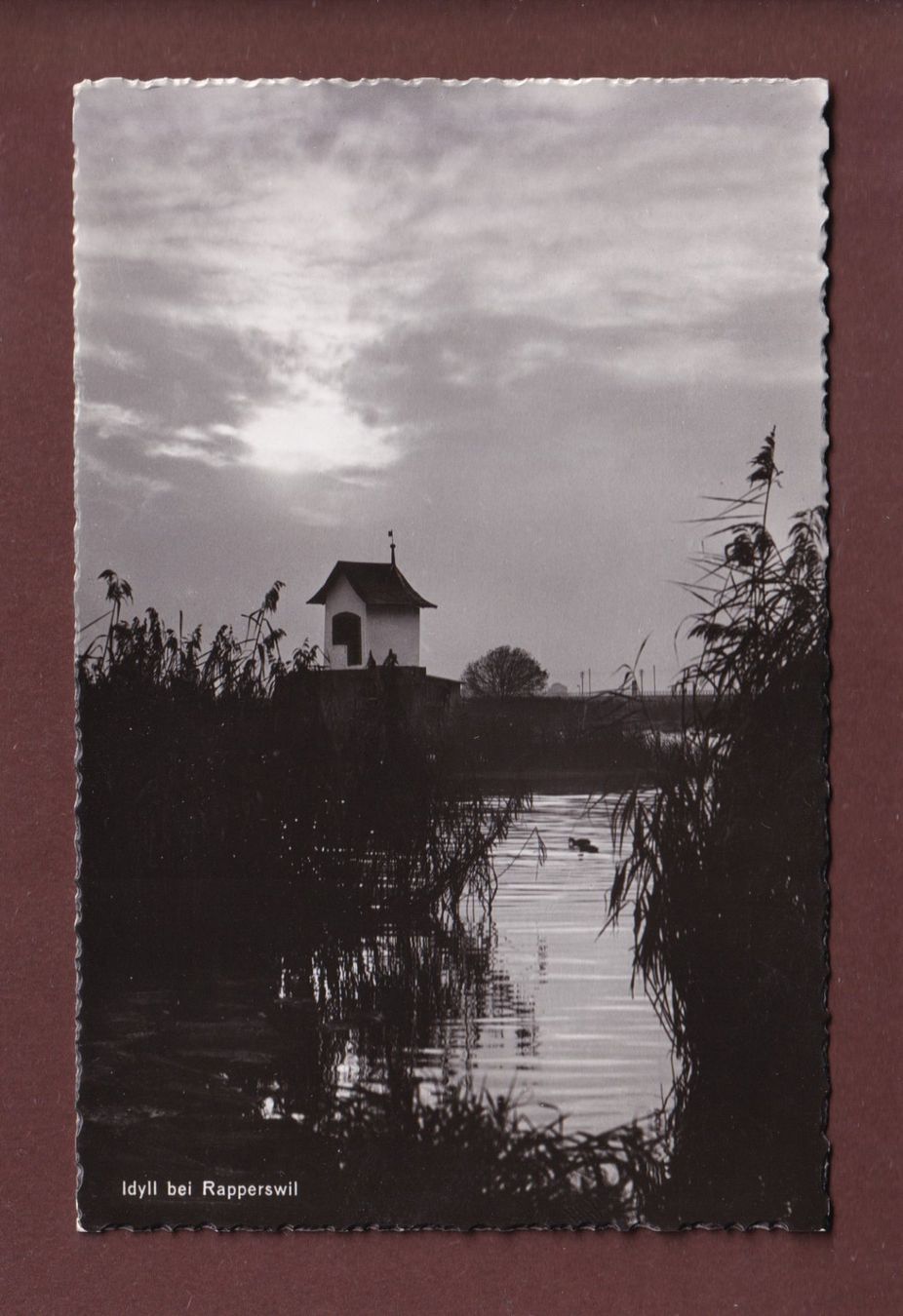 Cartoline postali: Idyll bei RAPPERSWIL - 1939 – Usato da Pully venduto da nicecards