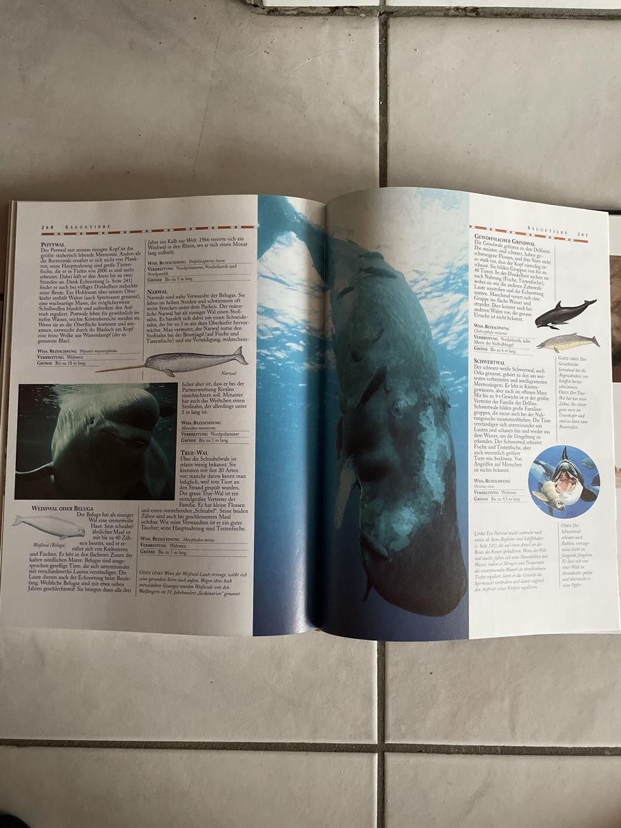 Libri: Faszination Tierwelt - Einzigartige Tierfotografien – Usato da Kaiseraugst venduto da KlausSina 7
