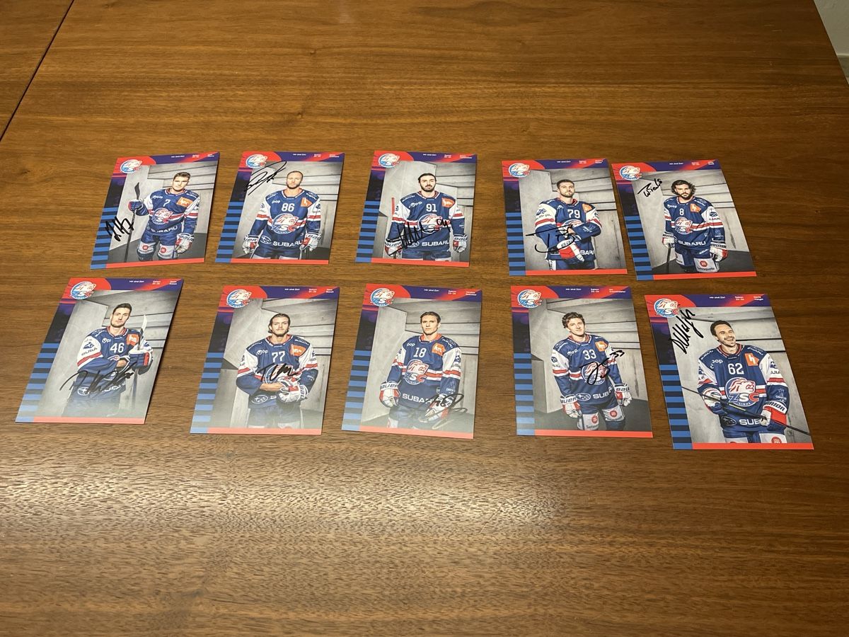 Autografi: ZSC Autogramm Karten Saison 25-26 – Nuovo (secondo la descrizione) da Samstagern venduto da Katinka8 2