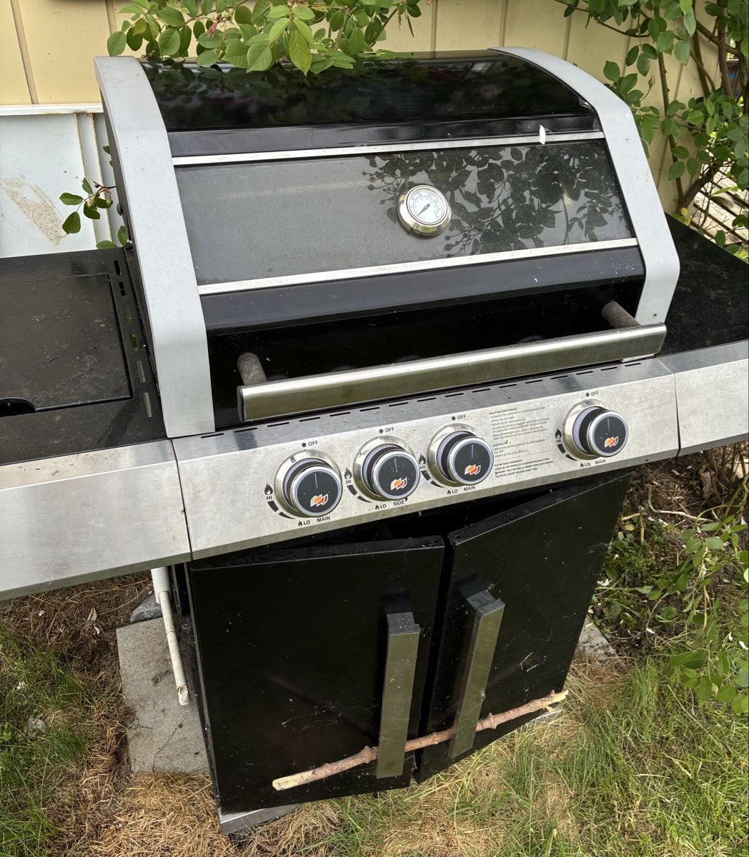 Griglie: Gasgrill Cliff350 – Usato da Zürich venduto da Letigram