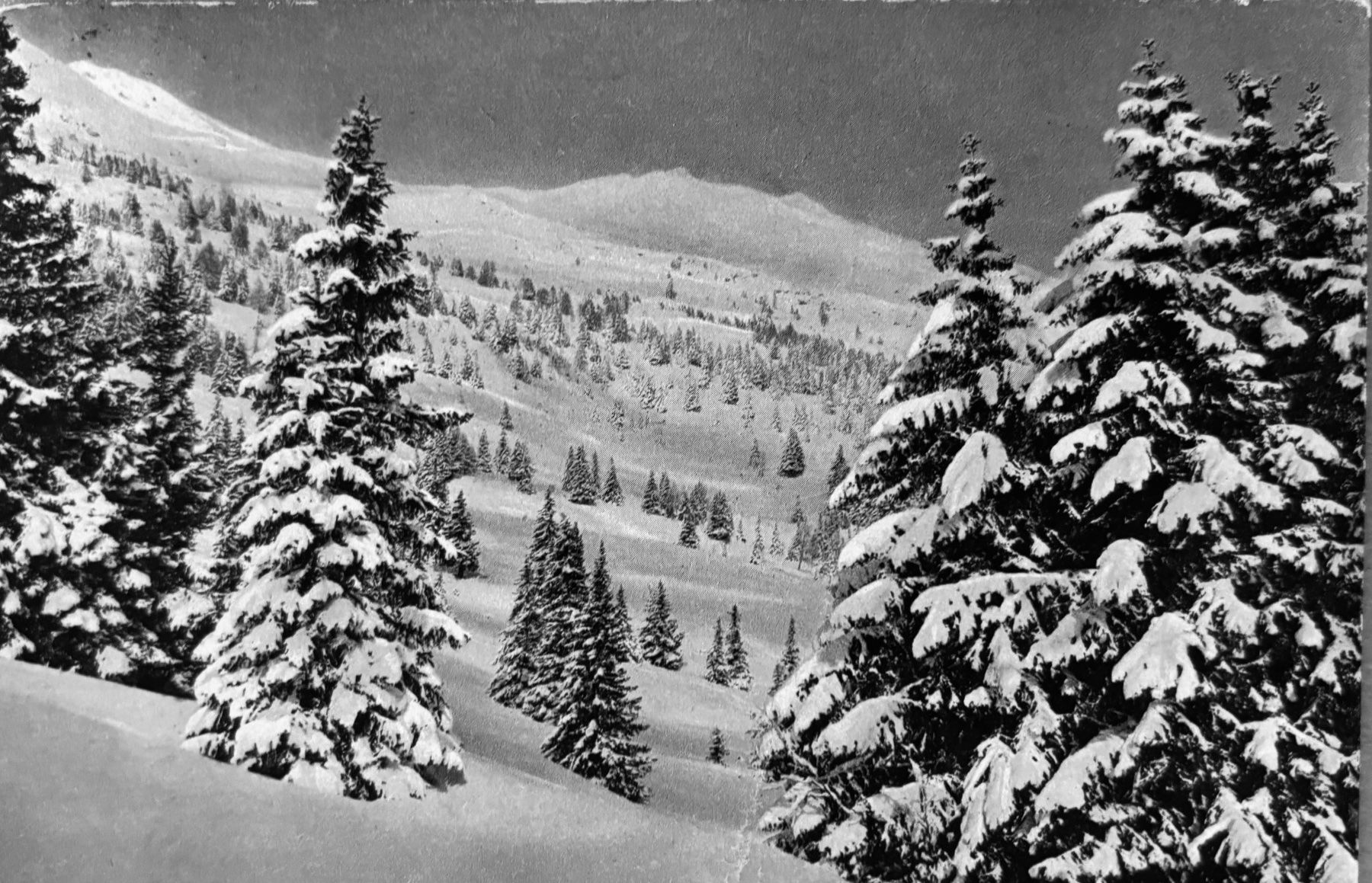Ansichtskarten: Lenzerheide, Vollstempel Valbella-Lenzerheide, 1920 – Gebraucht aus Frauenfeld von Merk52