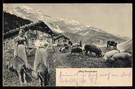 AK Unterschachen, Auf Urnerboden