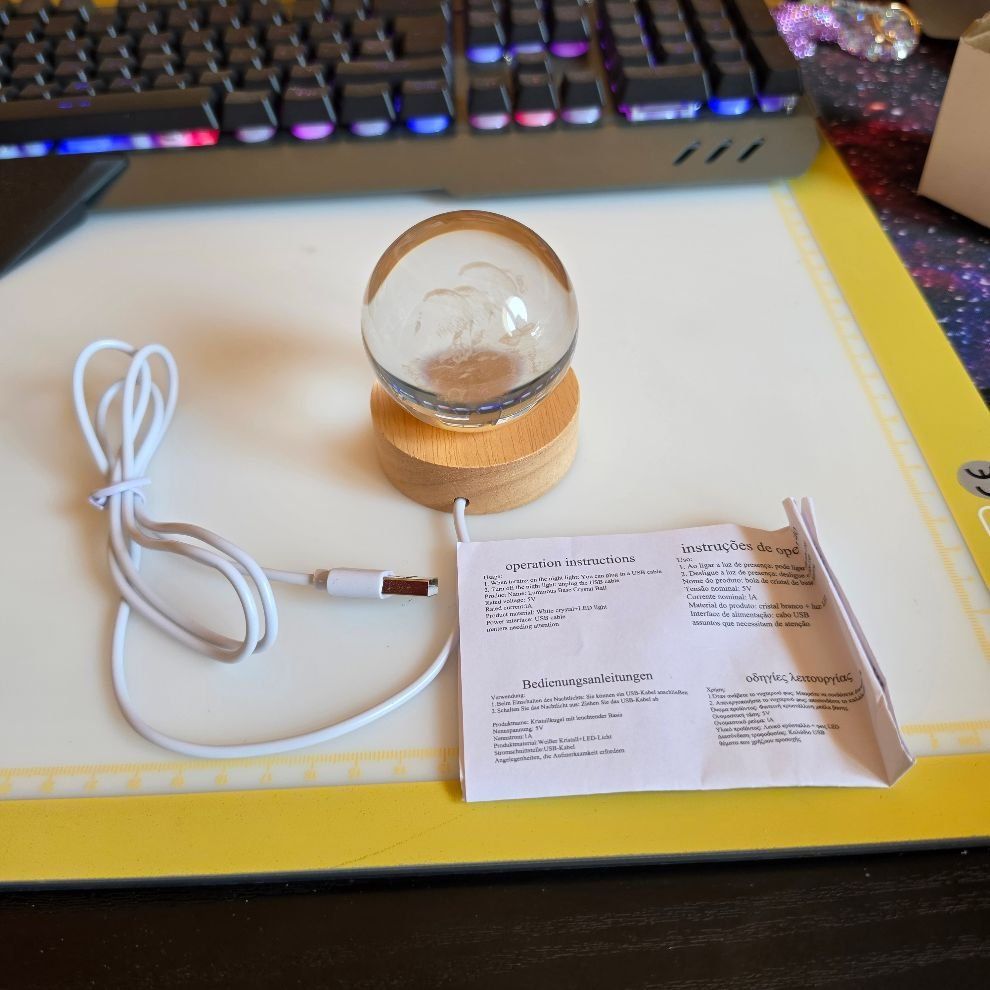 Alle Dekorationen: GLASKUGEL MIT DELFIN MIT USB UND LED LICHT – Neu und originalverpackt aus Dintikon von bonita099