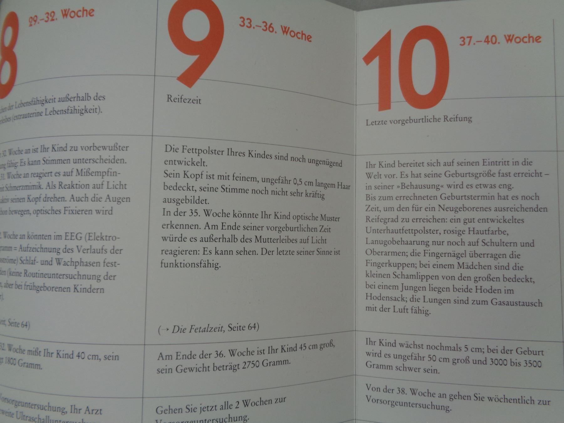 Libri: Schwangerschaft - Dr. med. Walther Prinz – Usato da Chur venduto da omonia 5