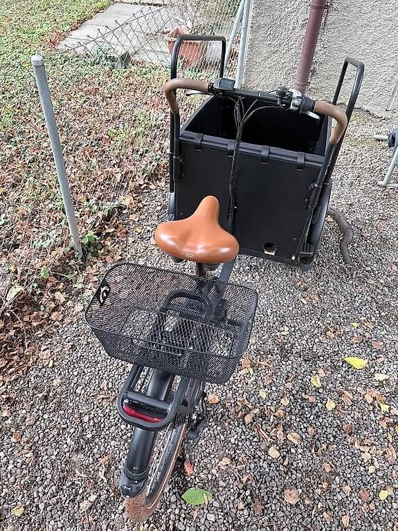 Velos: E-Cargo Lastenrad Cargobike mit Transportbox – Gebraucht aus Bern von noasn 3