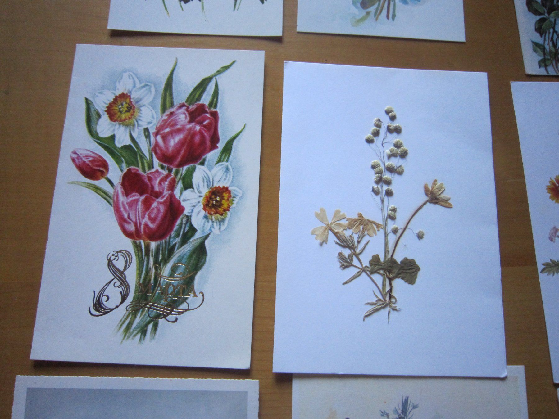 Cartes postales: No 2 Postkarte Blumen 1925 – D'occasion à Gordola par Polentaefung 2