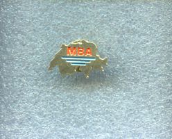 Schweiz  MBA
