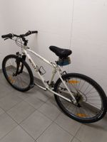 Mountain Bike Scott
